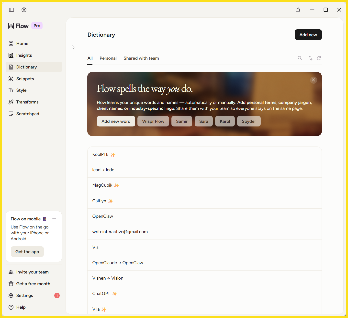 Wispr Flow Review dictionary
